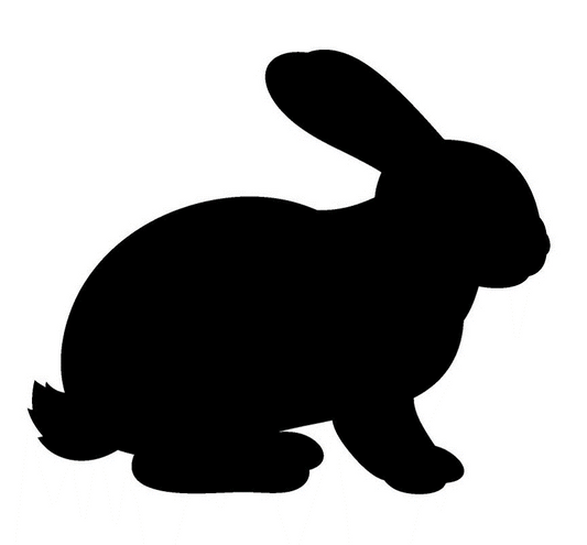 Delilahs Rabbit Dinner image 0